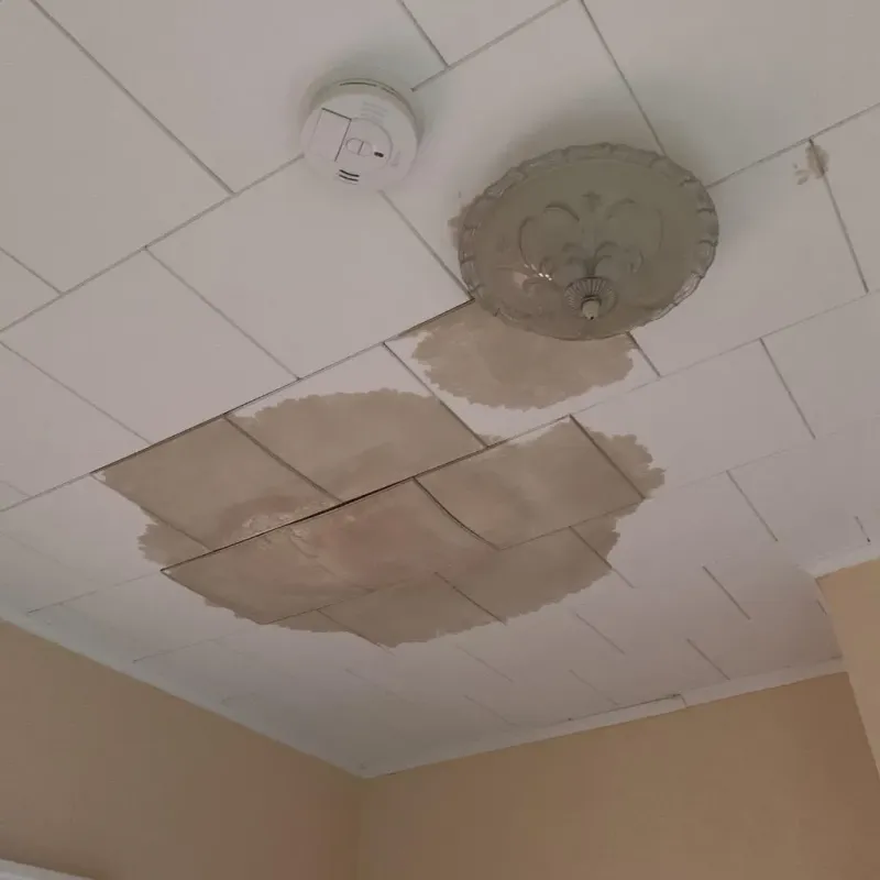 Ceiling Water Damage Repair in Grant County, SD