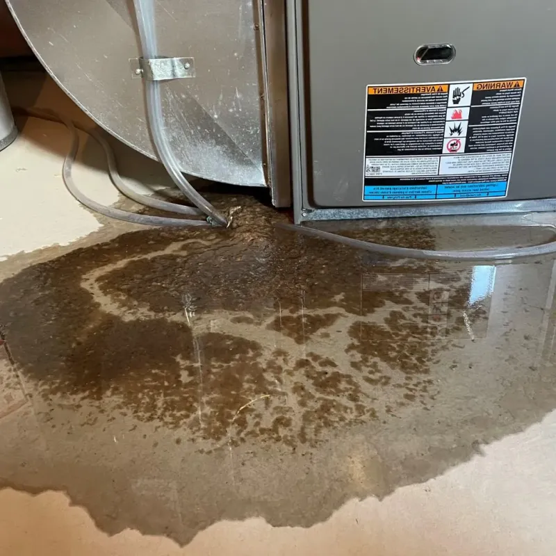 Pipe Burst and Leak Restoration in Grant County, SD